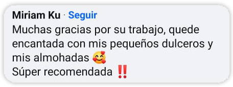 Opinión de Miriam Ku recomendando los dulceros y almohaditas personalizados de LemonLink Creaciones en Cancún y Playa del Carmen